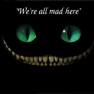 Meet your Posher, Dena